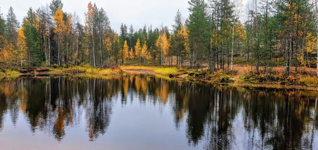 Cozy Log By Invisible Forest Feriehus