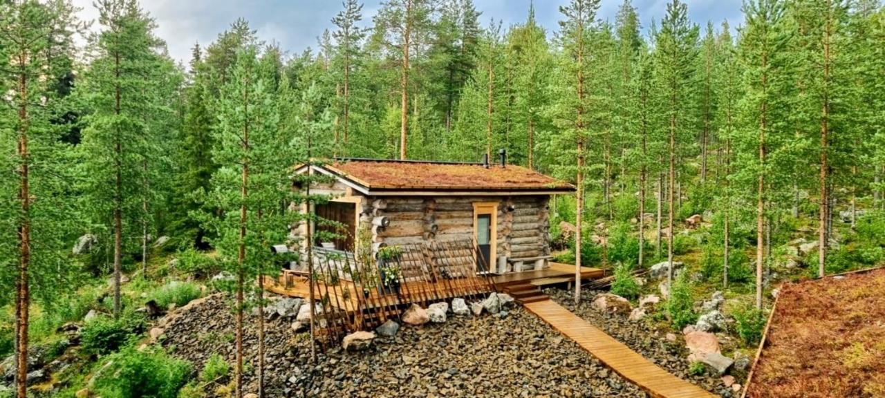 Cozy Log By Invisible Forest