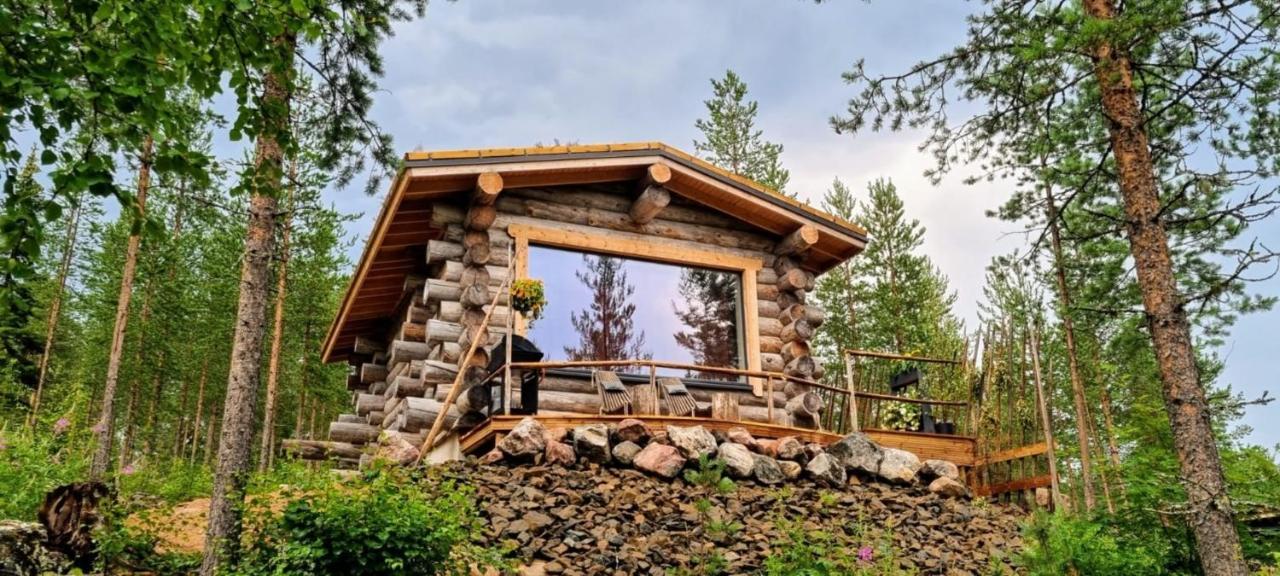 Cozy Log By Invisible Forest